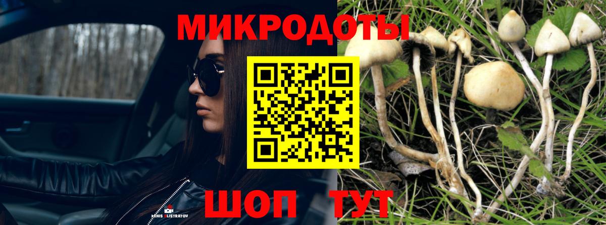 Владимир  Псилоцибиновые грибы мухоморы  Вход с VPN  Псилоцибиновые грибы мицелий 