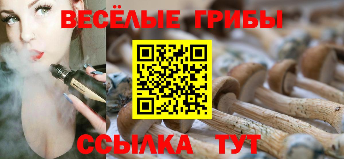Владимир  Вход с VPN  Кетамин  ЭКСТАЗИ  ГАШ  Канабис  COCAIN  Мефедрон кристаллы  Амфетамин   MDMA 
